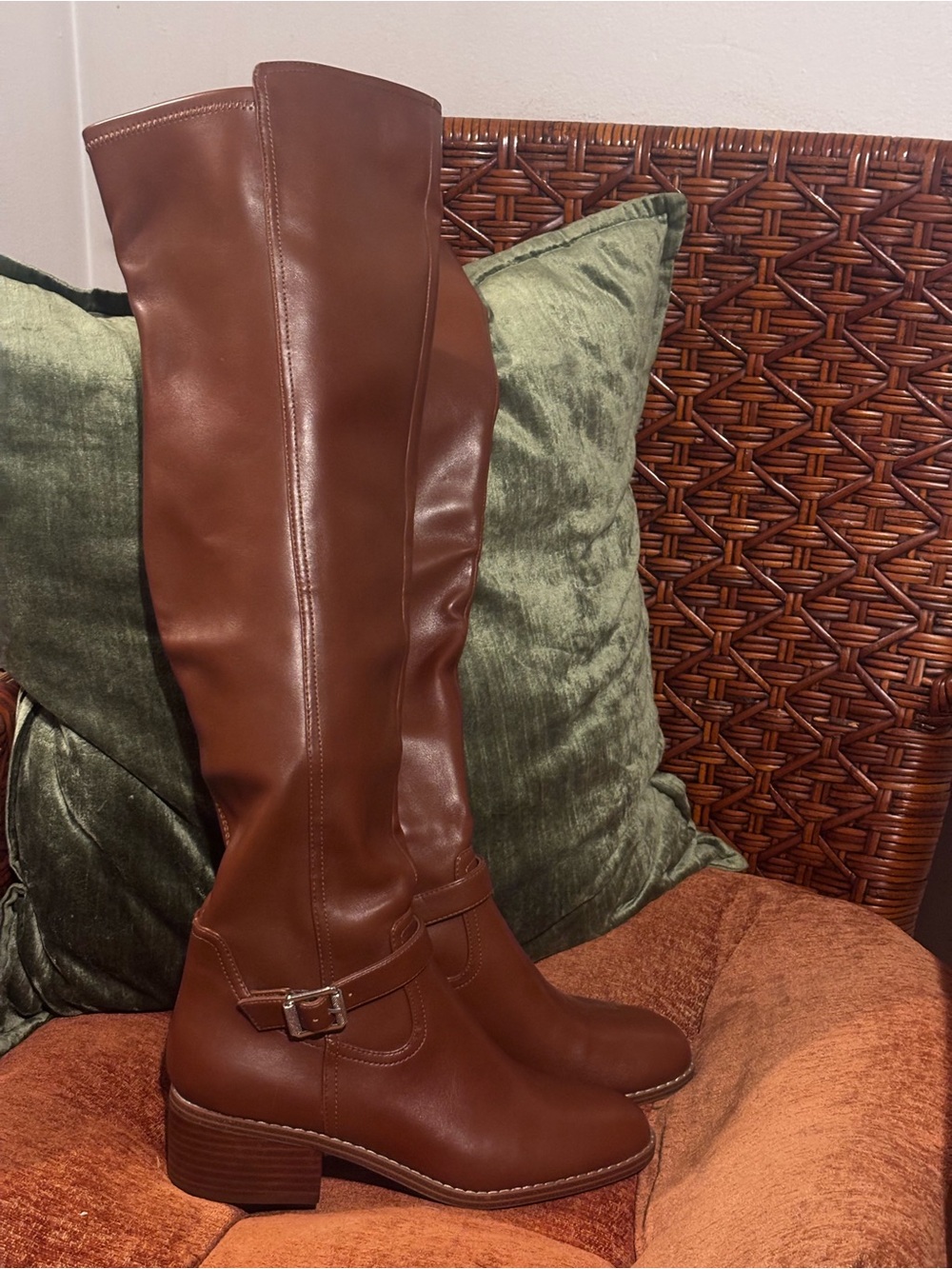 Dolce Vita Tall Over-the-Knee Boots in Brown